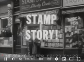 Ver Vídeo Ver Vídeo