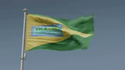 A Bandeira Oficial da FILABRAS A Bandeira Oficial da FILABRAS